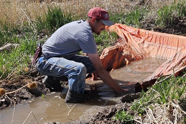 Mitchell Wardell is a Board Member for the Huerfano County Farm Bureau Mitchell Wardell is a Board Member for the Huerfano County Farm Bureau